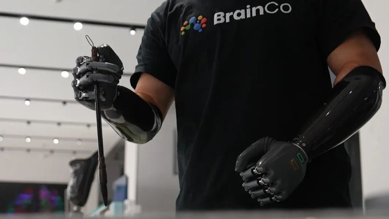 揭秘大数据分析算法：分类与原理探析